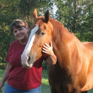 Meet your Posher, Jan